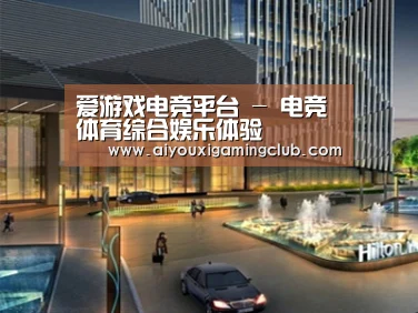 案例展示二(图1)