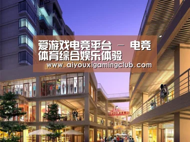 案例展示一(图1)