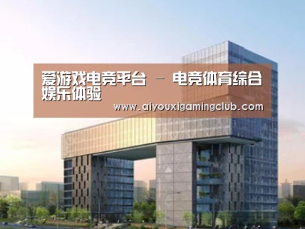 案例展示四