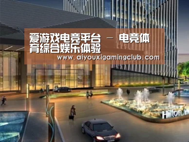 案例展示二