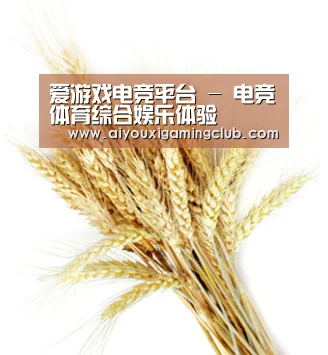 爱游戏电竞平台 - 电竞体育综合娱乐体验
