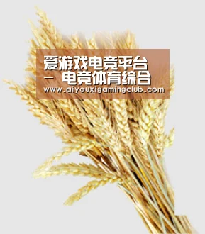 爱游戏电竞平台 - 电竞体育综合娱乐体验
