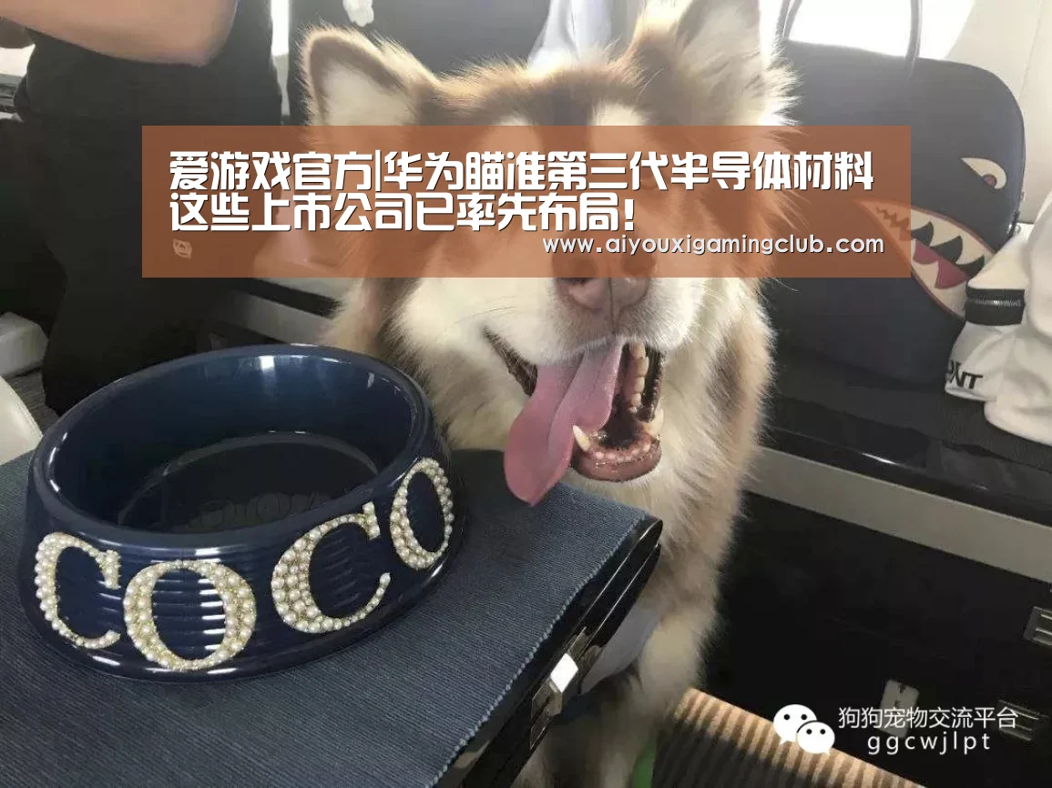 爱游戏官方