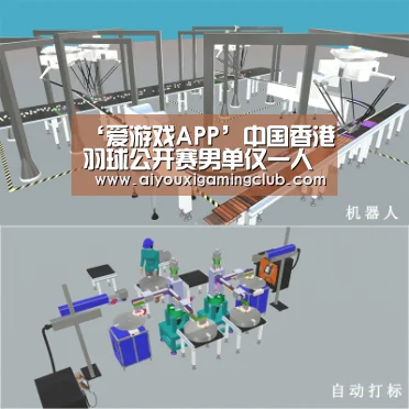 爱游戏APP