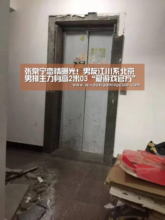 爱游戏电竞